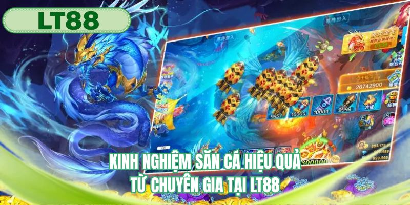 Chia sẻ những bí kíp từ thực tế của chuyên gia