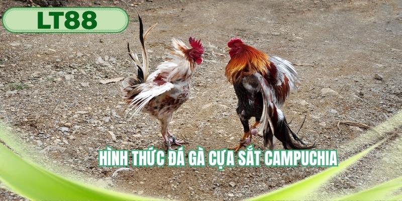 Tìm hiểu thông tin hình thức đá gà cựa sắt Campuchia
